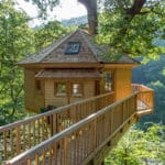 Baumhaushotel Seemühle / Millpond Treehouse Hotel