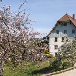 Fehrenbacherhof Naturgästehaus - Fehrenbacher Farm Guesthouse